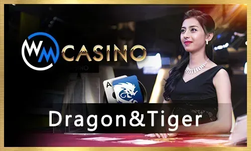 Live Casino Etiquette